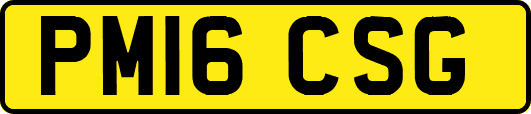 PM16CSG