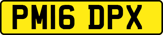 PM16DPX