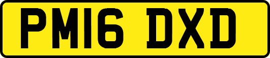 PM16DXD