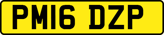 PM16DZP