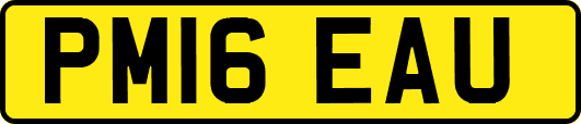 PM16EAU