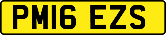 PM16EZS