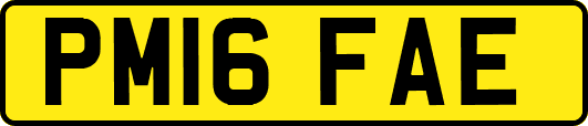PM16FAE