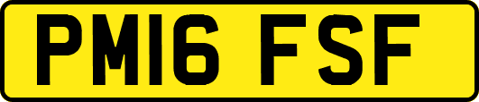 PM16FSF