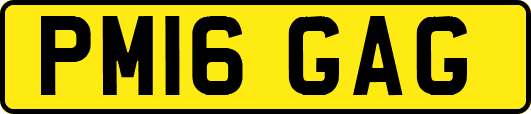PM16GAG