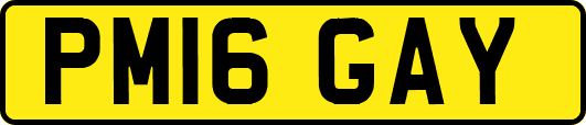 PM16GAY
