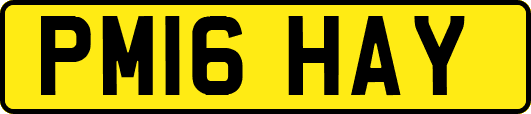 PM16HAY