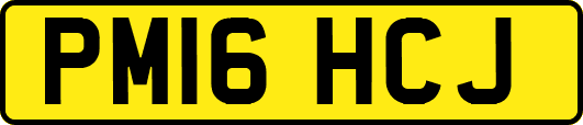 PM16HCJ