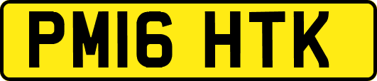 PM16HTK