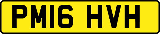 PM16HVH