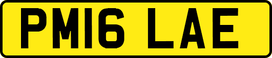 PM16LAE