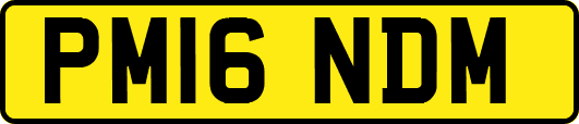 PM16NDM