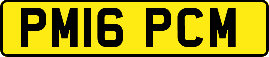 PM16PCM