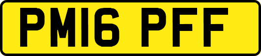 PM16PFF