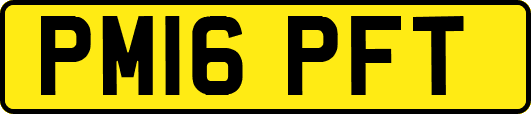 PM16PFT