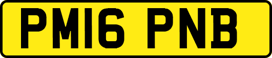 PM16PNB