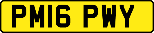 PM16PWY