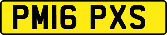 PM16PXS