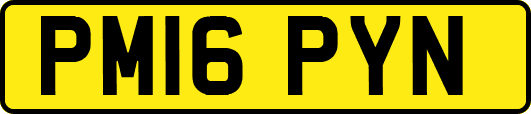 PM16PYN