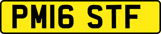 PM16STF