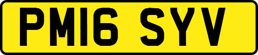 PM16SYV