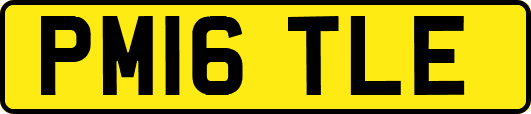 PM16TLE