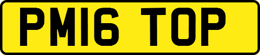 PM16TOP