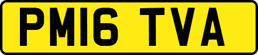 PM16TVA