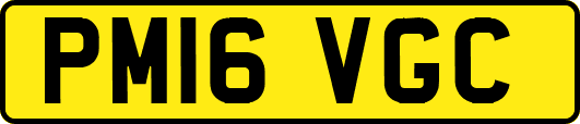 PM16VGC