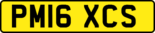PM16XCS