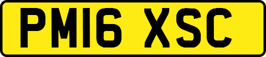 PM16XSC