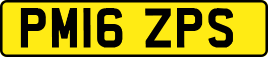 PM16ZPS