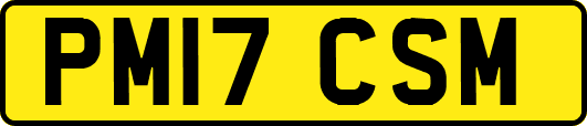 PM17CSM