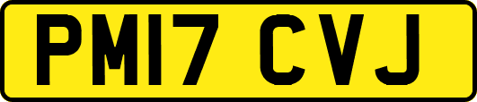 PM17CVJ