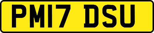 PM17DSU