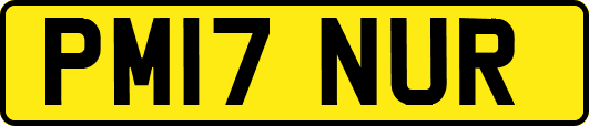 PM17NUR