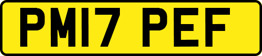 PM17PEF