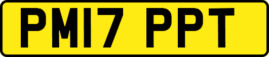 PM17PPT