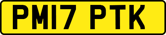 PM17PTK
