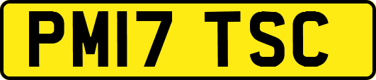 PM17TSC