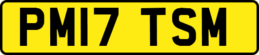 PM17TSM