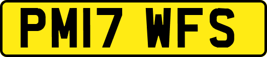 PM17WFS