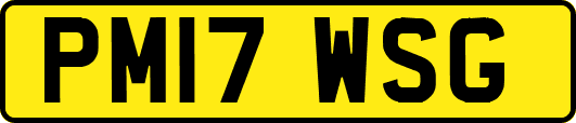 PM17WSG