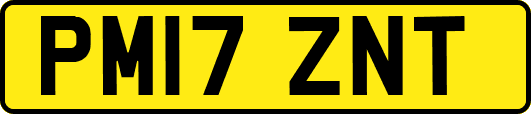 PM17ZNT