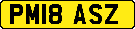 PM18ASZ
