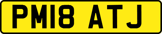 PM18ATJ