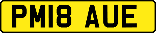 PM18AUE