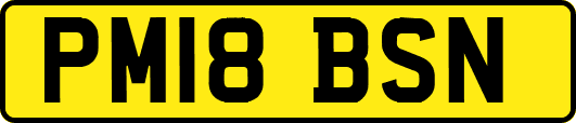 PM18BSN