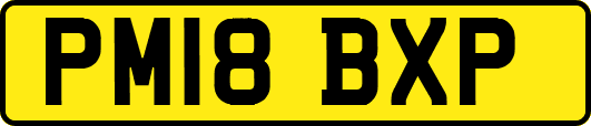 PM18BXP