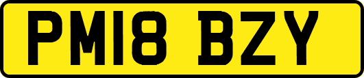 PM18BZY
